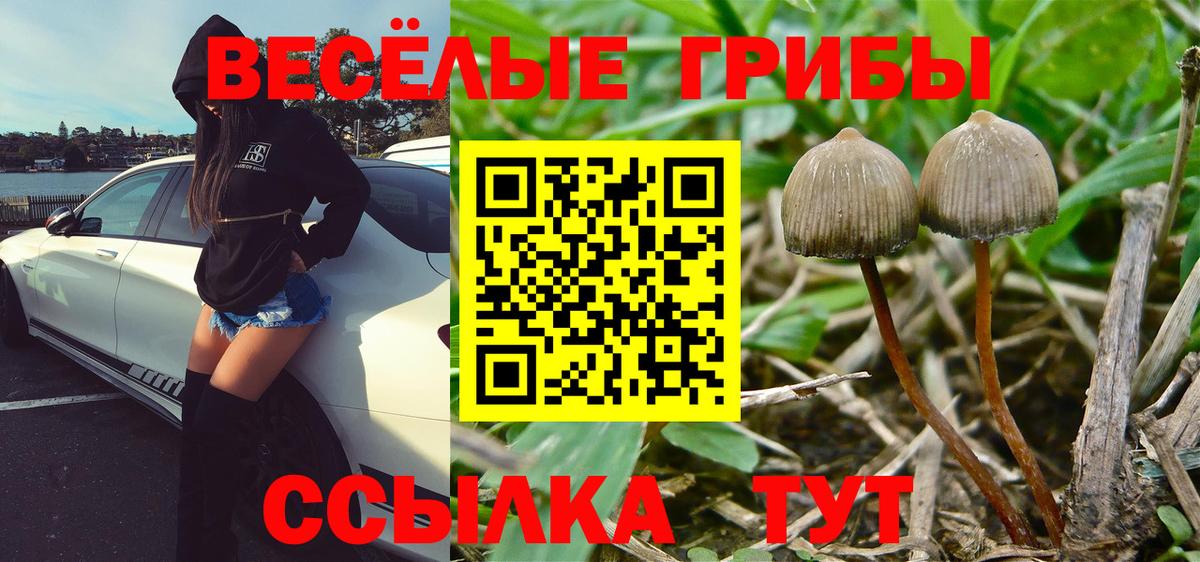 Галлюциногенные грибы мухоморы Кимовск