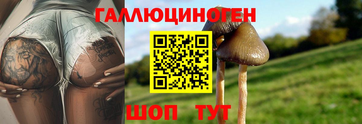 Кимовск  Псилоцибиновые грибы GOLDEN TEACHER  Вход с VPN 